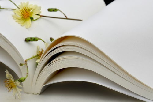 文艺视角下的长征精神学习心得